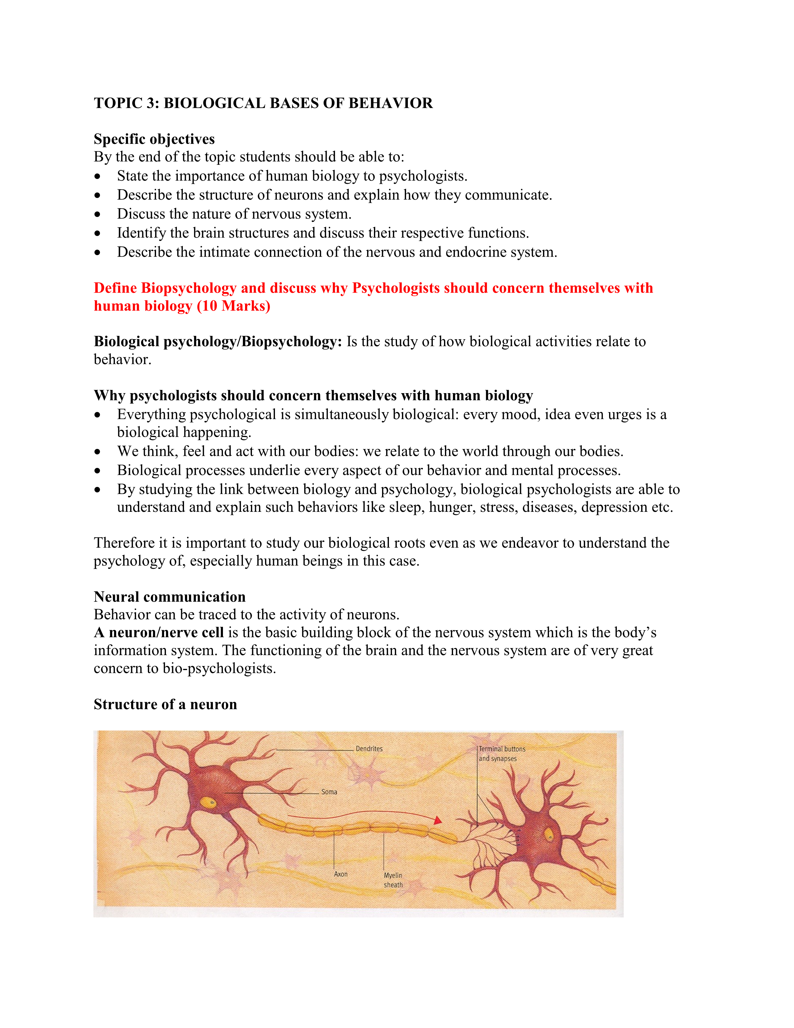 No preview available